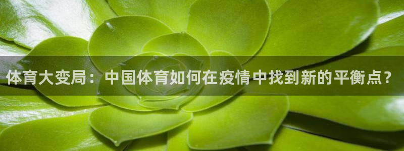 J9官方正版app娱乐40996：体育大变局：中国体