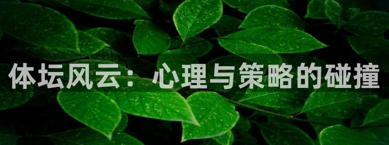 J9官网下载招商电话号码是多少