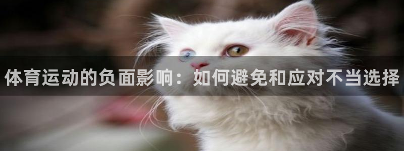 J9官网下载招商电话地址：体育运动的负面影响：如何避