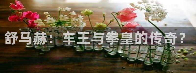 J9官网下载：舒马赫：车王与拳皇的传奇？
