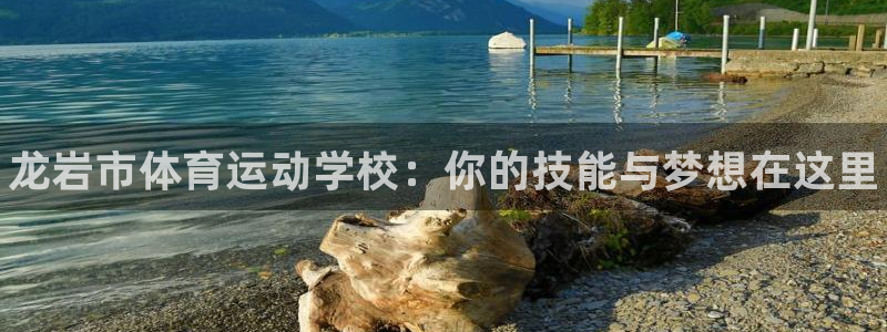 J9官网下载招商电话号码：龙岩市体育运动学校：你的技能与梦想