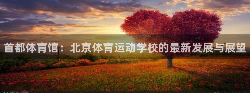 J9官网下载开户：首都体育馆：北京体育运动学校的最新