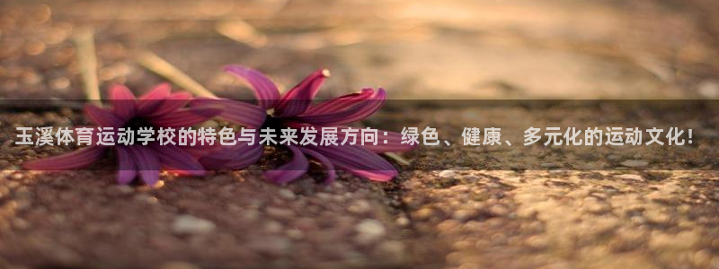 J9官方正版app官方：玉溪体育运动学校的特色与未来