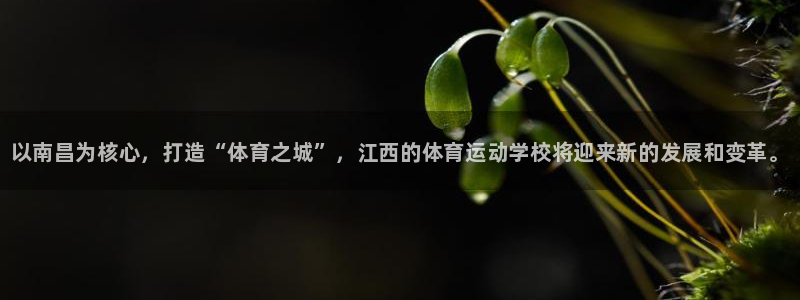 J9官方正版app新能源：以南昌为核心，打造“体育之