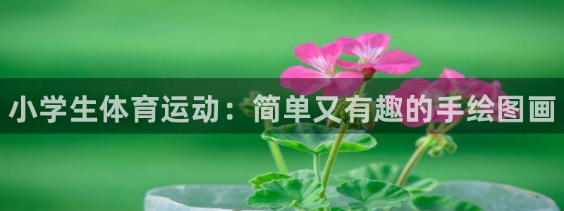J9官网下载平台注册要钱吗：小学生体育运动：简单又有