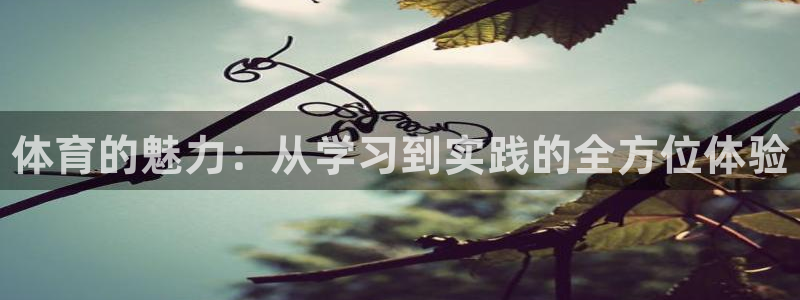 J9官方平台体育：体育的魅力：从学习到实践的全方位体