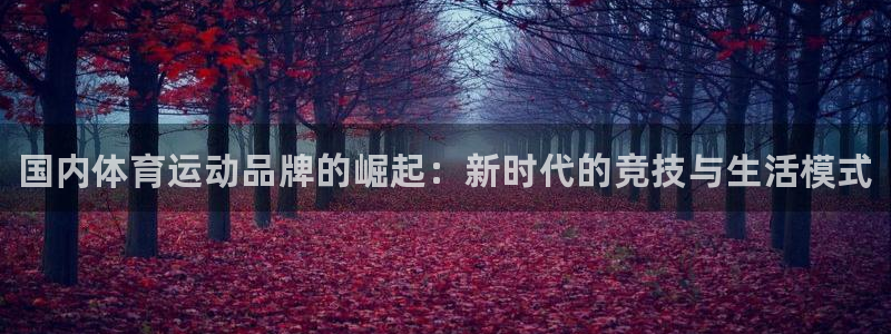 J9官网下载平台：国内体育运动品牌的崛起：新时代的竞