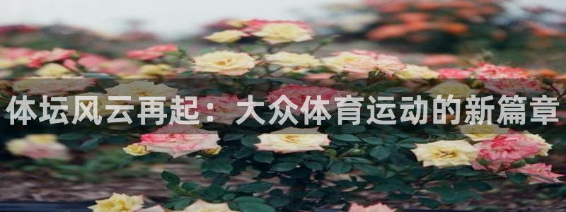 J9官网下载官方客服电话：体坛风云再起：大众体育运动