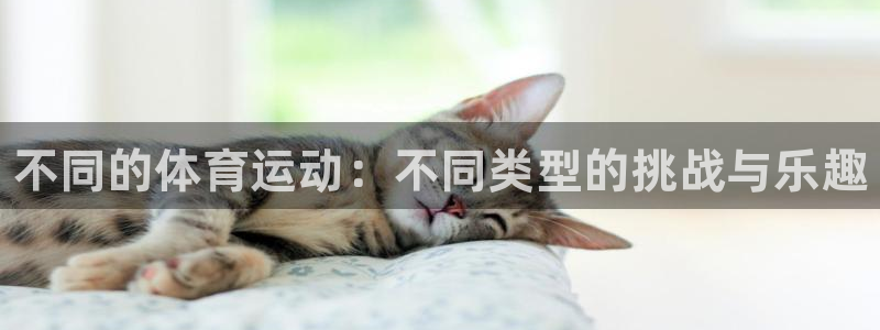 J9官网下载平台是正规平台吗知乎：不同的体育运动：不