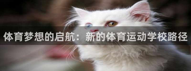 J9官网下载是干嘛的公司：体育梦想的启航：新的体育运