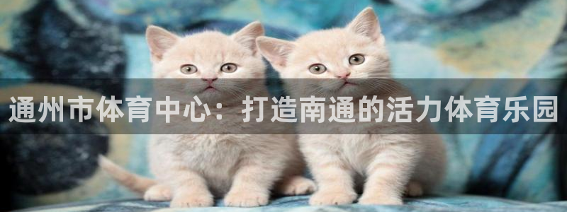 J9官网下载招商电话号码查询：通州市体育中心：打造南通的活力