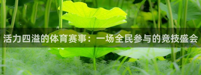 J9官方正版app集团官网网址：活力四溢的体育赛事：