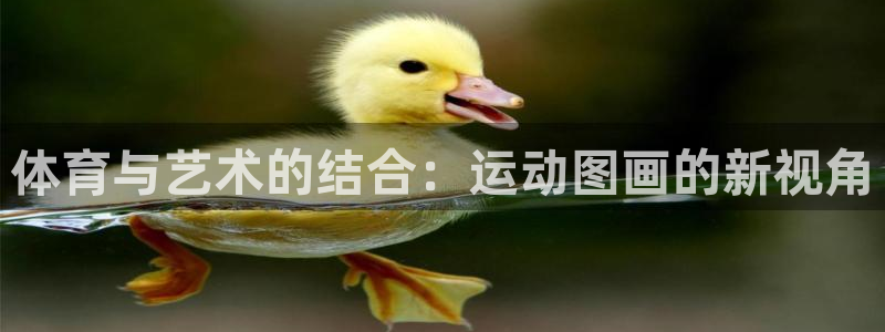 J9官网下载招商电话地址是多少：体育与艺术的结合：运