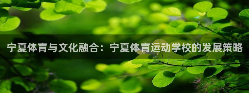 J9官方正版app娱乐平台：宁夏体育与文化融合：宁夏