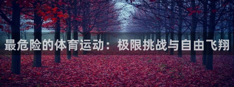 J9官网下载平台：最危险的体育运动：极限挑战与自由飞