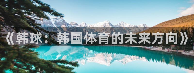 J9官网下载平台注册流程图：《韩球：韩国体育的未来方