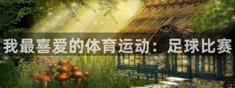 J9官网下载开户：我最喜爱的体育运动：足球比赛