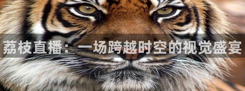 857nba直播体育：荔枝直播：一场跨越时空的视觉盛宴