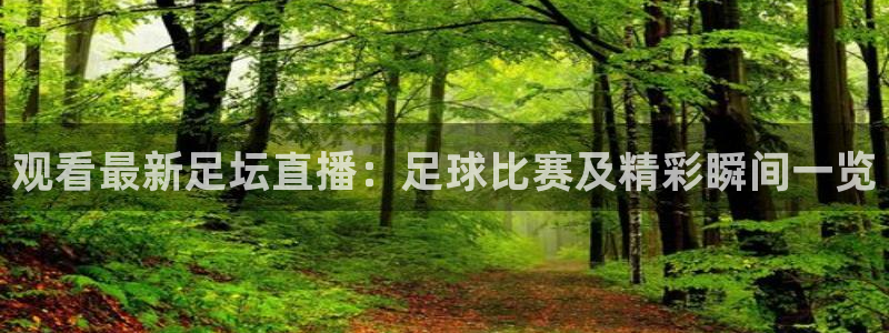 857直播体育篮球：观看最新足坛直播：足球比赛及精彩瞬间一览