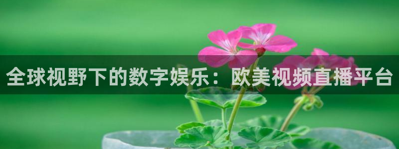 857体育直播免费观看