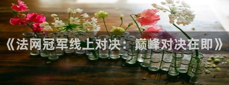857体育赛事直播免费：《法网冠军线上对决：巅峰对决在即》