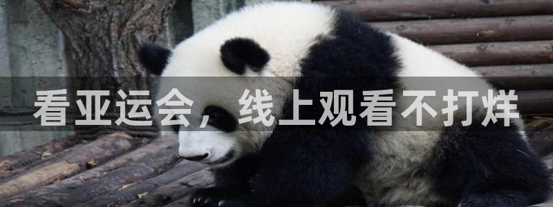 857足球直播高清完整版：看亚运会，线上观看不打烊